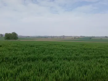 Bayernwald, Wijtschate, Heuvelland (Belgium)